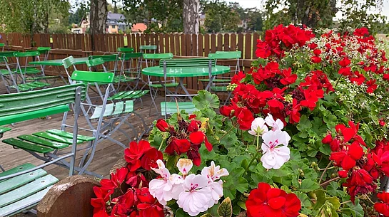 Ein gemütlicher Biergarten mit grünen Biergartentischen und -stühlen unter schattenspendenden Bäumen. Im Vordergrund blühen leuchtend rote und weiße Geranien in einem Blumenkasten, während im Hintergrund die Sitzgelegenheiten auf einer Holzterrasse zum Verweilen einladen. Ein Holzzaun und viel Grün verleihen dem Außenbereich eine ruhige, einladende Atmosphäre.